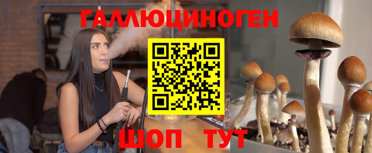 Галлюциногенные грибы Magic Shrooms Таганрог